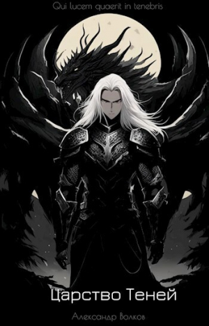 обложка книги Царство Теней (СИ) - Александр Волков