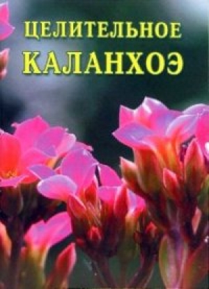 обложка книги Целительное каланхоэ - Иван Дубровин