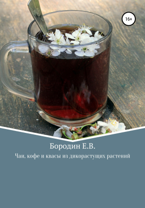 обложка книги Чаи, кофе и квасы из дикорастущих растений - Евгений Бородин