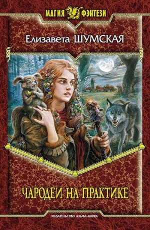 обложка книги Чародеи на практике - Елизавета Шумская