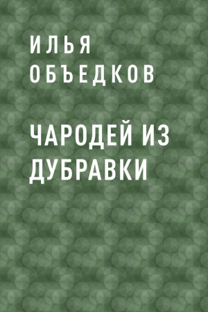 обложка книги Чародей из Дубравки - Илья Объедков