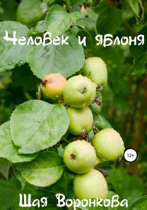 обложка книги Человек и яблоня - Шая Воронкова