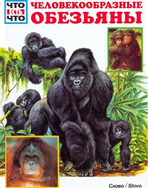 обложка книги Человекообразные обезьяны - Витус Дрёшер