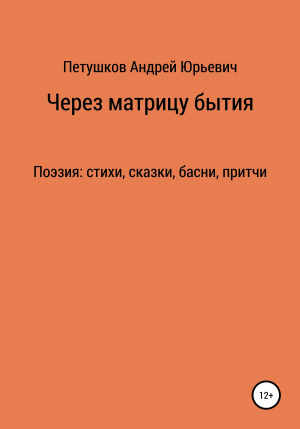 обложка книги Через матрицу бытия - Андрей Петушков