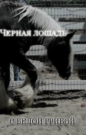 обложка книги Черная лошадь с белой гривой - Нихт Фэрштейн