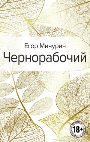 обложка книги Чернорабочий - Егор Мичурин