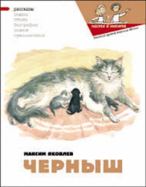 обложка книги Черныш - Наталия Кондратова