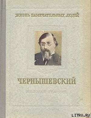 обложка книги Чернышевский - Николай Богословский