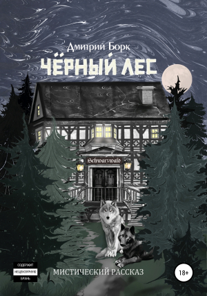обложка книги Черный Лес - Дмитрий Борк