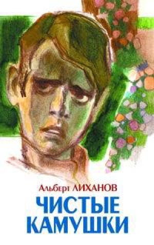 обложка книги Чистые камушки - Альберт Лиханов