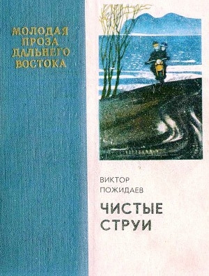 обложка книги Чистые струи - Виктор Пожидаев
