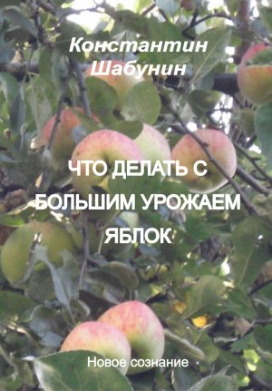 обложка книги Что делать с большим урожаем яблок? - Константин Шабунин