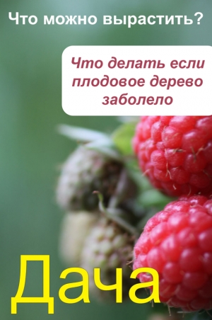 обложка книги Что можно вырастить? Что делать, если плодовое дерево заболело - Wim Van Drongelen