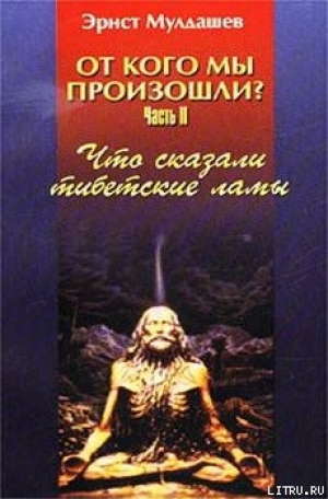 обложка книги Что сказали тибетские ламы - Эрнст Мулдашев