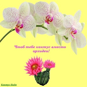 обложка книги Чтоб тебе кактус вместо орхидеи! (СИ) - Надя Кактус