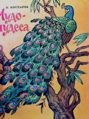 обложка книги Чудо-чудеса - Николай Костарев