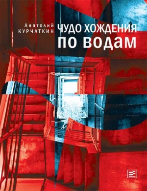 обложка книги Чудо хождения по водам - Анатолий Курчаткин