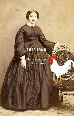 обложка книги Чудо в ущелье Поскоков - Томич Анте