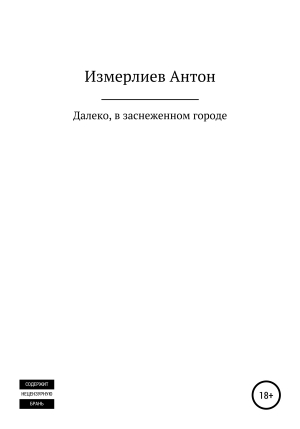 обложка книги Далеко, в заснеженном городе - Антон Измерлиев