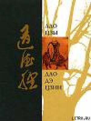 обложка книги Дао Дэ Дзин (перевод Макаровой Елены) - -цзы Лао