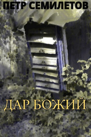 обложка книги Дар Божий (СИ) - Петр Семилетов
