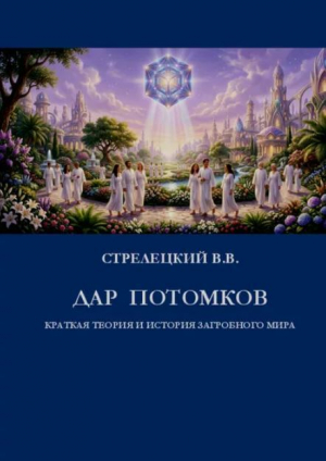 обложка книги Дар потомков. Краткая теория и история загробного мира (СИ) - Владимир Стрелецкий