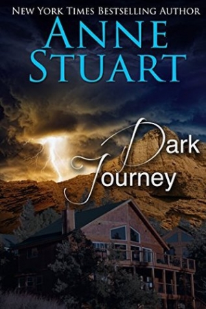обложка книги Dark Journey - Anne Stuart