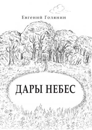 обложка книги Дары небес - Евгений Голянин