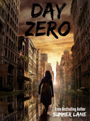 обложка книги Day Zero - Summer Lane