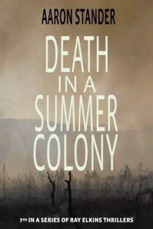 обложка книги Death in a Summer Colony - Aaron Stander