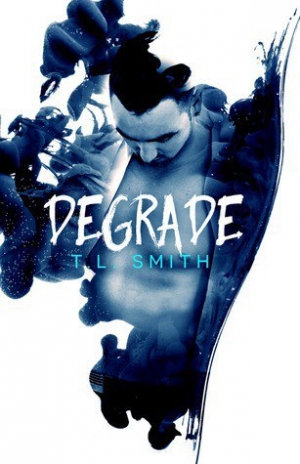 обложка книги Degrade - T. L. Smith