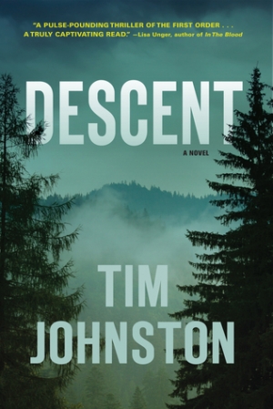 обложка книги Descent - Tim Johnston