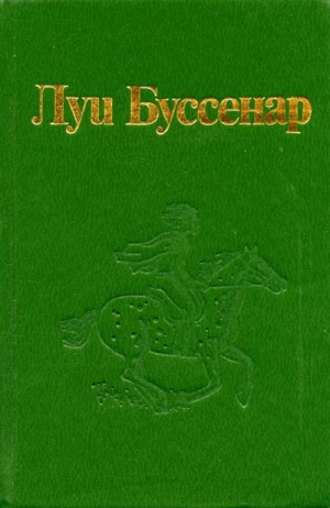 обложка книги Десять тысяч лет в ледяной глыбе (перевод Квитницкой-Рыжовой Е.Ю.) - Луи Анри Буссенар