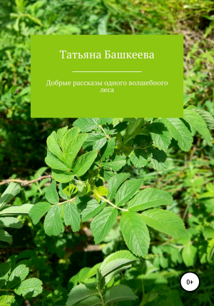 обложка книги Добрые рассказы из одного волшебного леса - Татьяна Башкеева