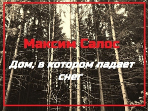 обложка книги Дом, в котором падает снег - Максим Салос