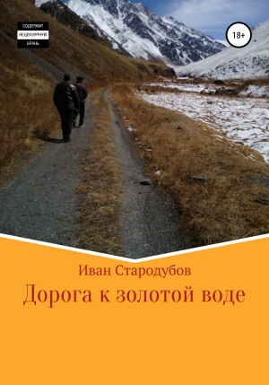 обложка книги Дорога к золотой воде - В. Дорофеев