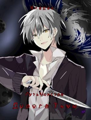 обложка книги Дорога Тьмы (СИ) - Владас