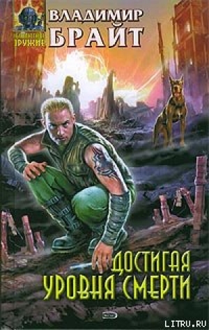 обложка книги Достигая уровня смерти - Владимир Брайт