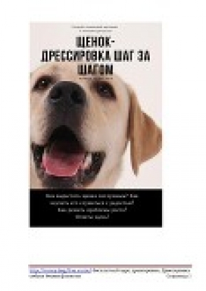 обложка книги Дрессировка щенка шаг за шагом - Ирина Безуглая