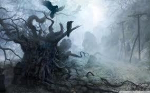 обложка книги Древесная магия партикуляристов (СИ) - Варвара Мадоши