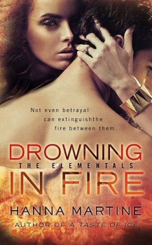 обложка книги Drowning in Fire - Hanna Martine
