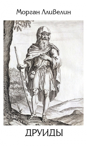 обложка книги Друиды (ЛП) - Морган Лливелин