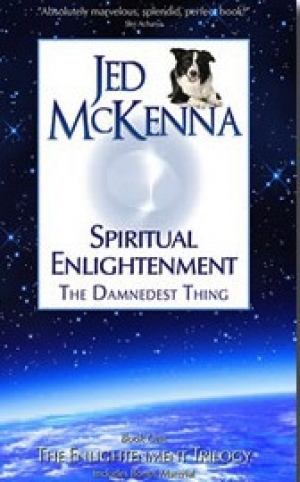 обложка книги Духовное просветление: прескверная штука (ЛП) - Джед МакКенна