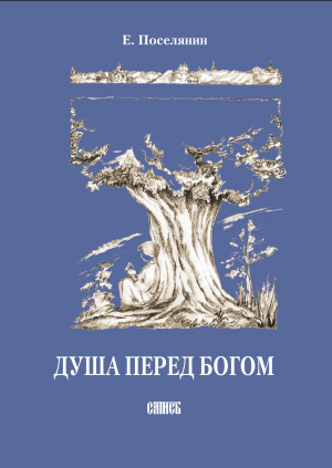 обложка книги Душа перед Богом - Евгений Поселянин