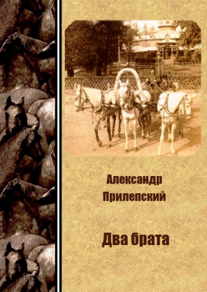 обложка книги Два брата - Александр Прилепский