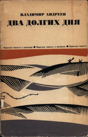 обложка книги Два долгих дня - Владимир Андреев