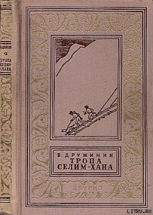 обложка книги Два и две семерки - Владимир Дружинин