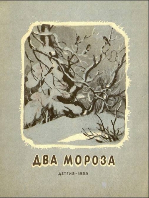 обложка книги Два мороза - Александр Пушкин