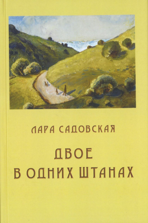 обложка книги Двое в одних штанах - Лара Садовская