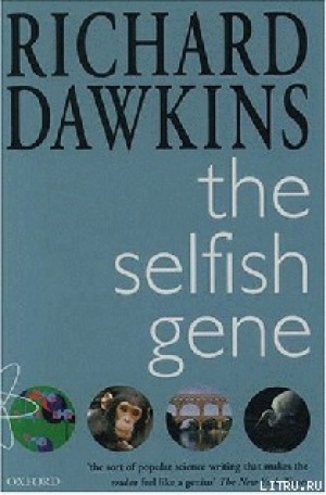 обложка книги Эгоистичный ген - Ричард Докинз